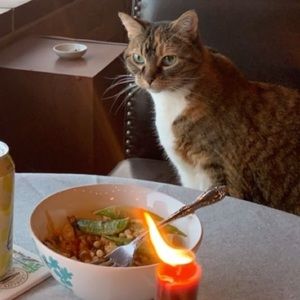 Meet your Posher, Jack